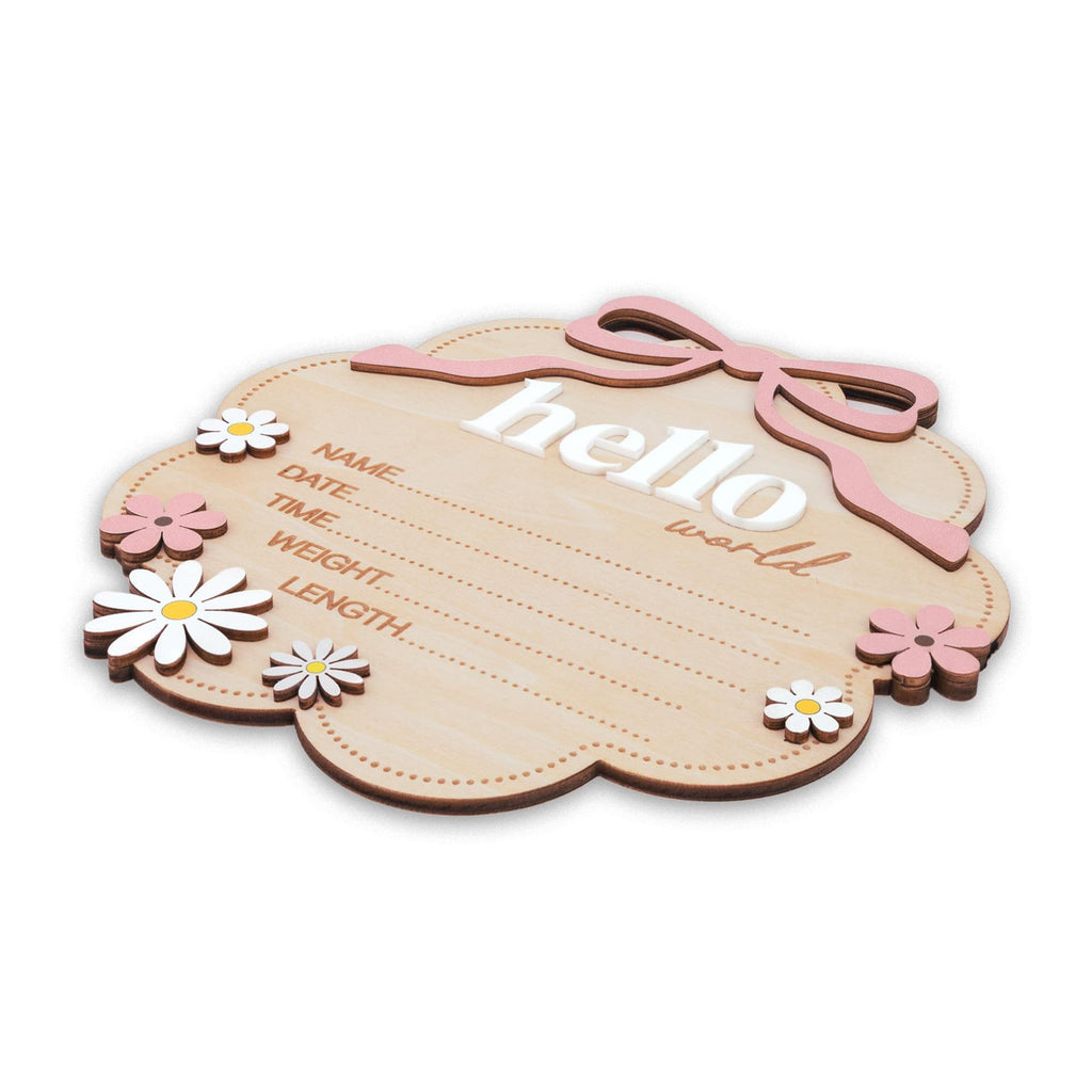 Baby Birth Stats "Hello World" Wooden : Newborn arrival Sign for hospital, birth stat plaque, nursery decor